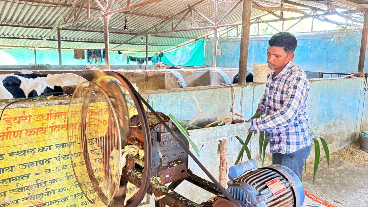 मजदूरी की बेड़ियां तोड़ ‘मल्टी-फार्मिंग’ के नायक बने ललित यादव: 6 गायों से शुरू हुआ सफर अब लिख रहा सफलता की इबारत