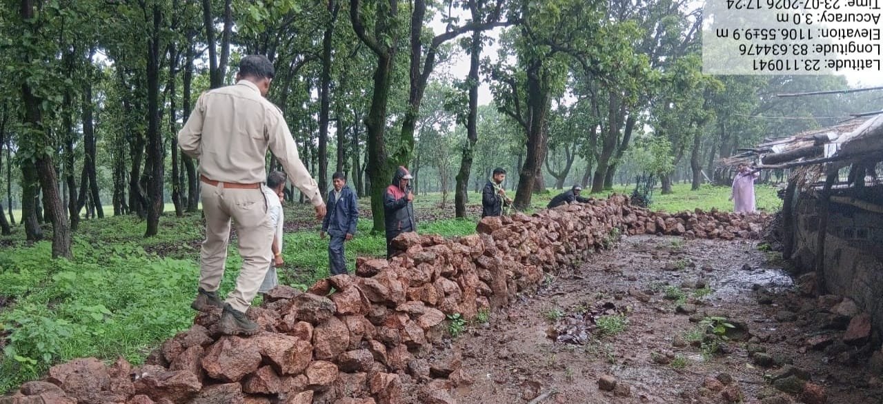 जशपुर में वन विभाग की बड़ी कार्रवाई: सन्ना परिक्षेत्र में मुक्त कराई गई वन भूमि, मौके पर ही शुरू हुआ पौधरोपण
